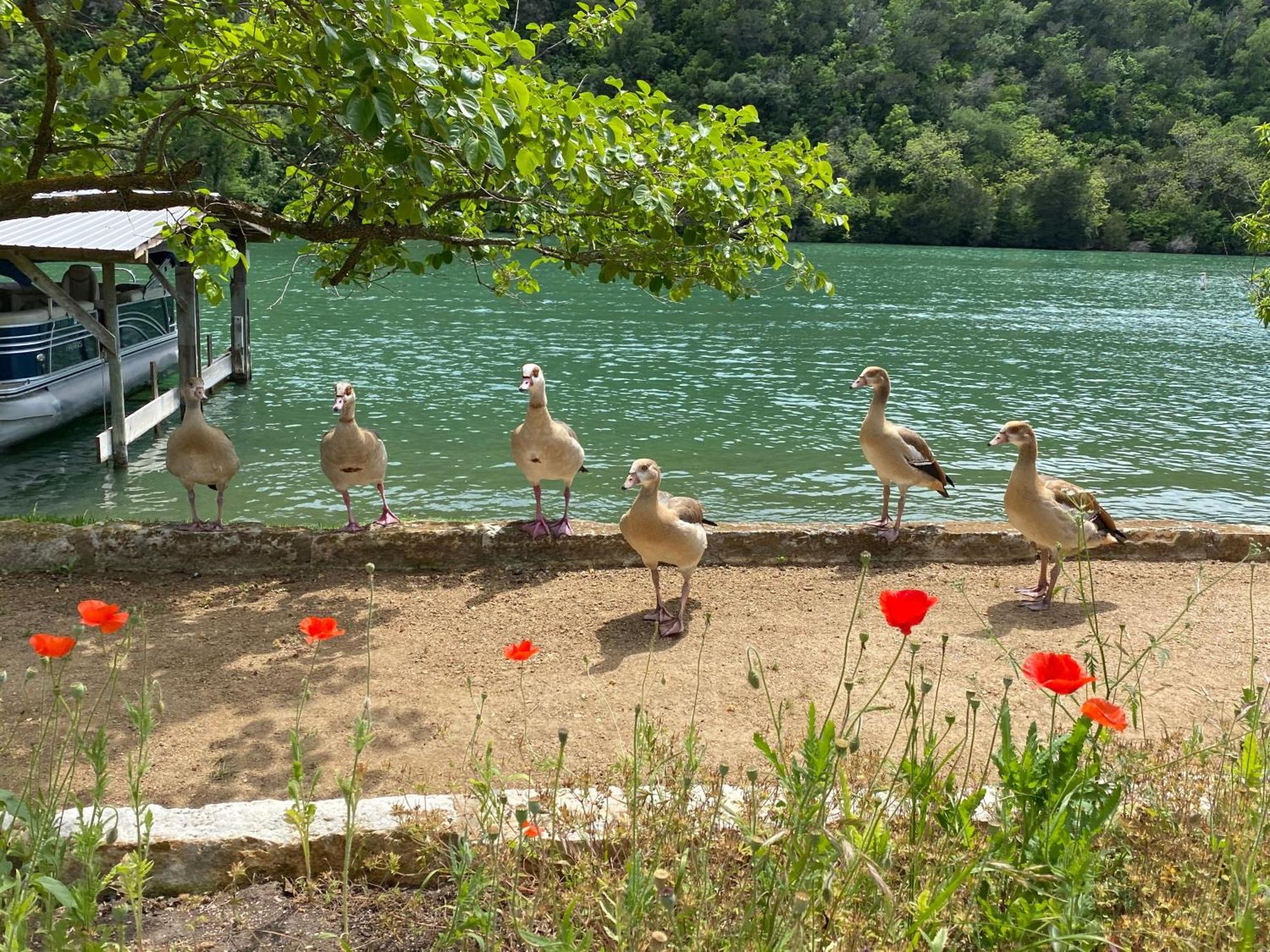 Lake Austin Spa Resort Extérieur photo